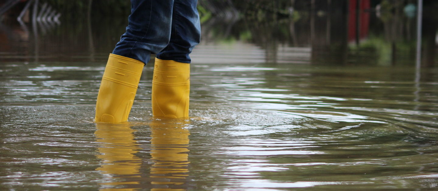 Louisiana flooding assistance