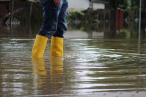 Louisiana flooding assistance