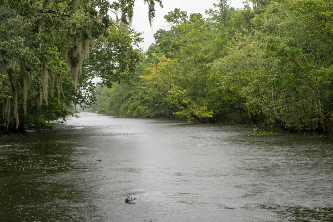 Residential street in a Louisiana neighborhood submerged in floodwaters after a major storm, highlighting the direct impac...