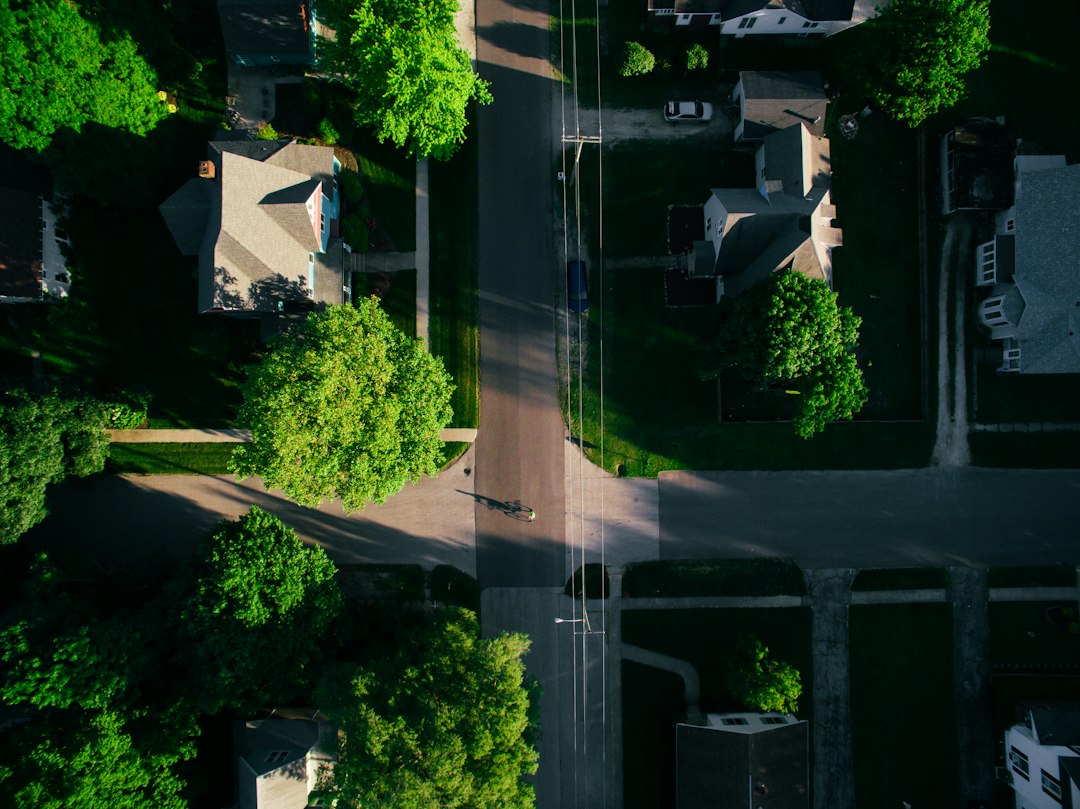 Wide, clean street in a modern American Midwest suburban neighborhood on a bright, sunny day, with well-kept homes and gre...